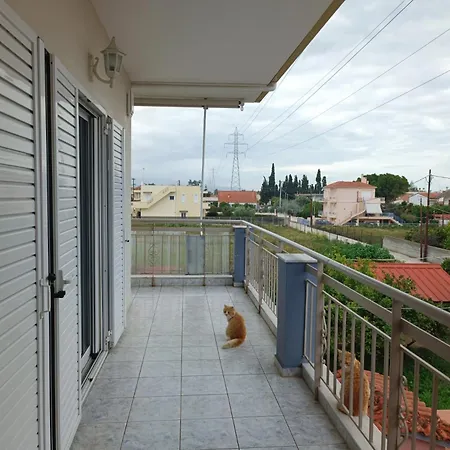 Rea's House *